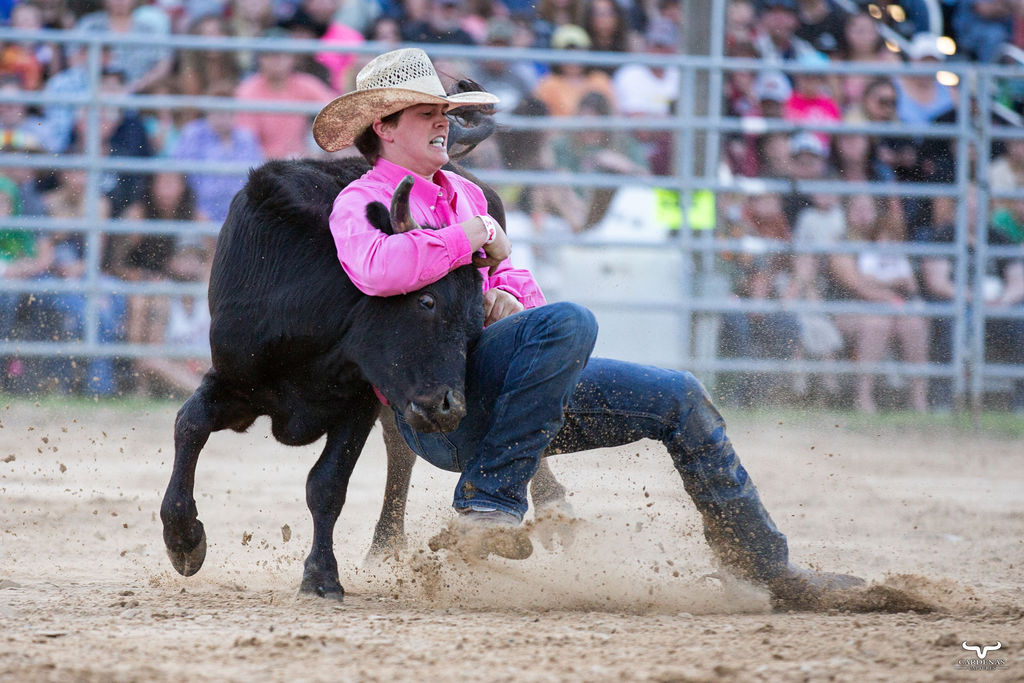 Steer wrestling in the arena