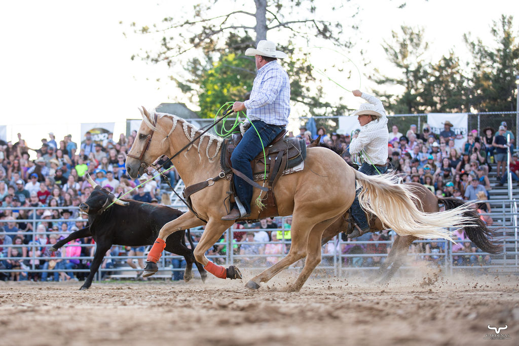 Team Roping