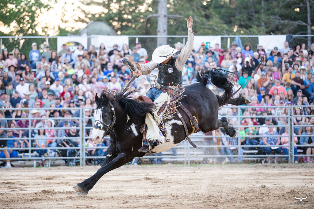 Saddle Bronc Riding