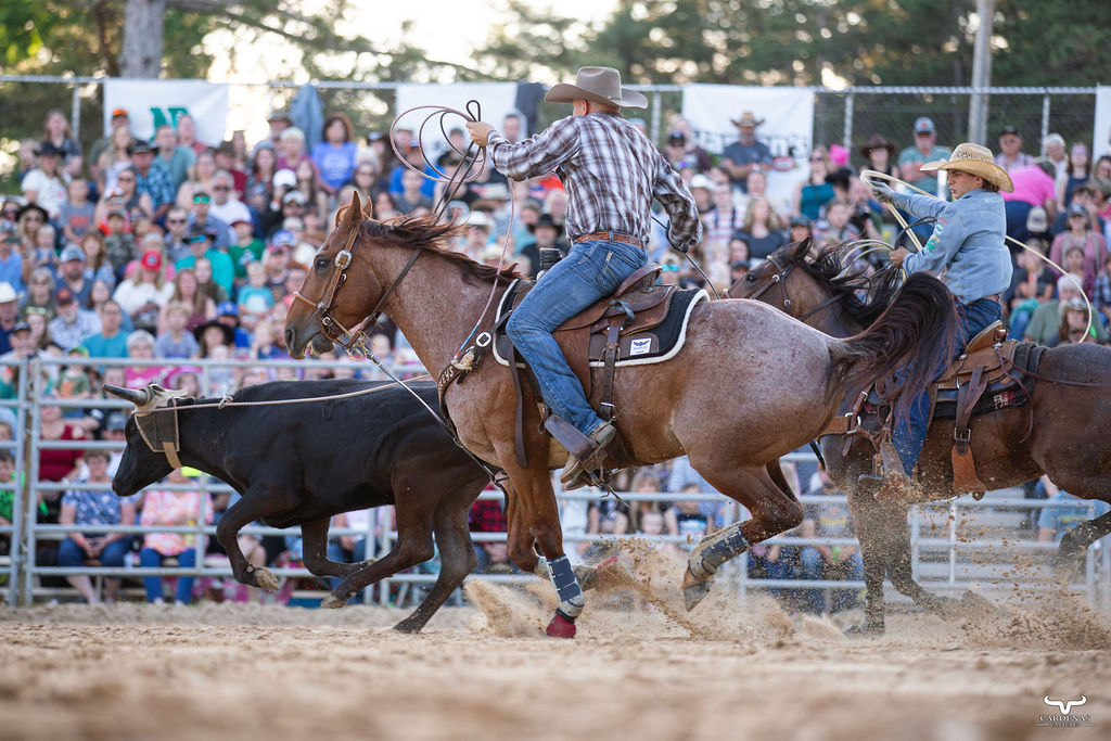 Team ropers chasing a steer