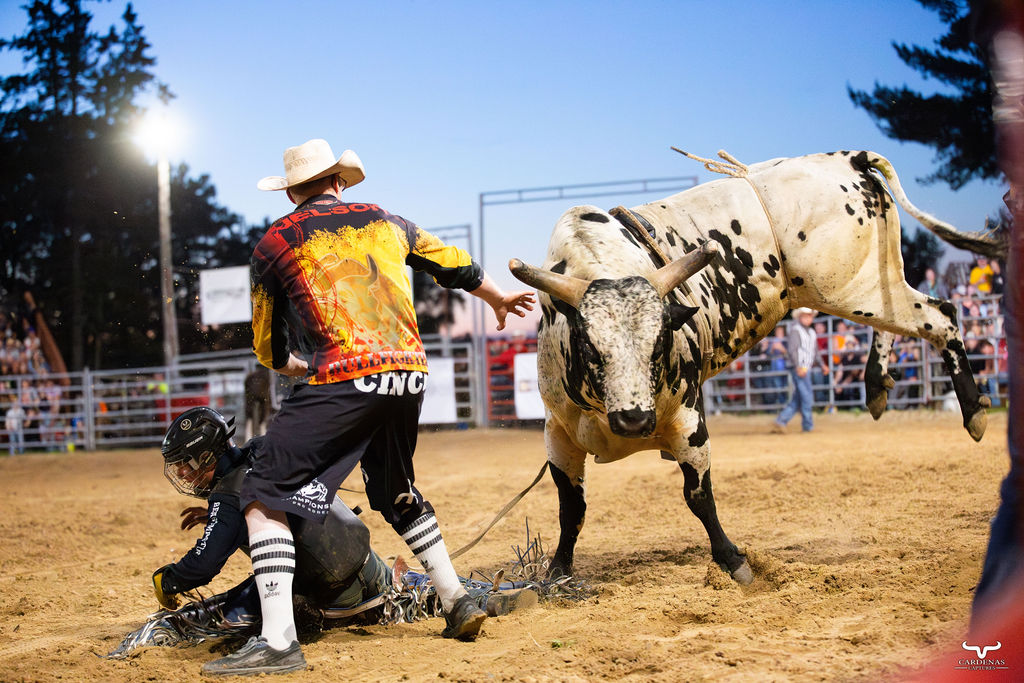 Bull Riding