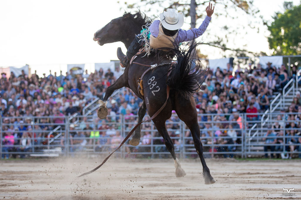 Bareback Riding