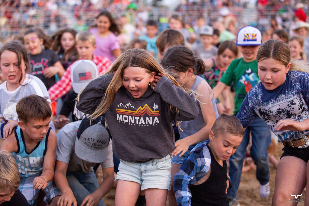 Kids scrambling in the arena at the Stanley Rodeo