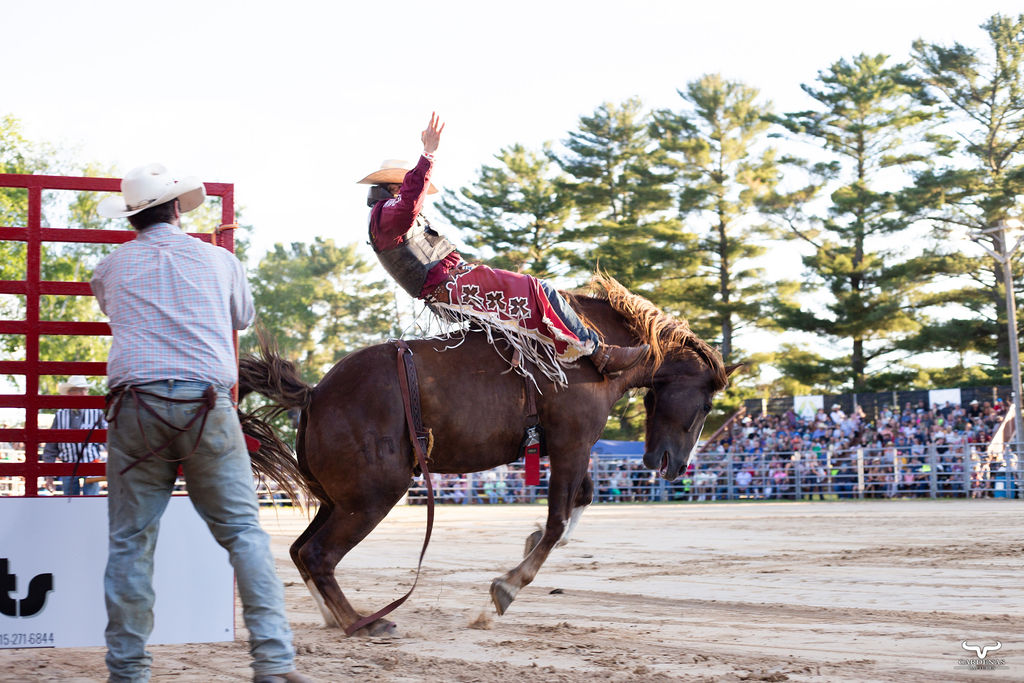 Cowboy riding a bucking bronco